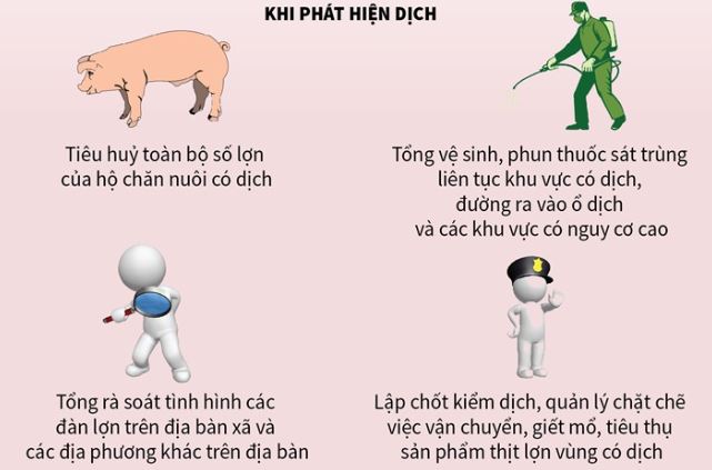Triển khai quyết liệt, đồng bộ các giải pháp phòng, chống bệnh Dịch tả lợn Châu Phi